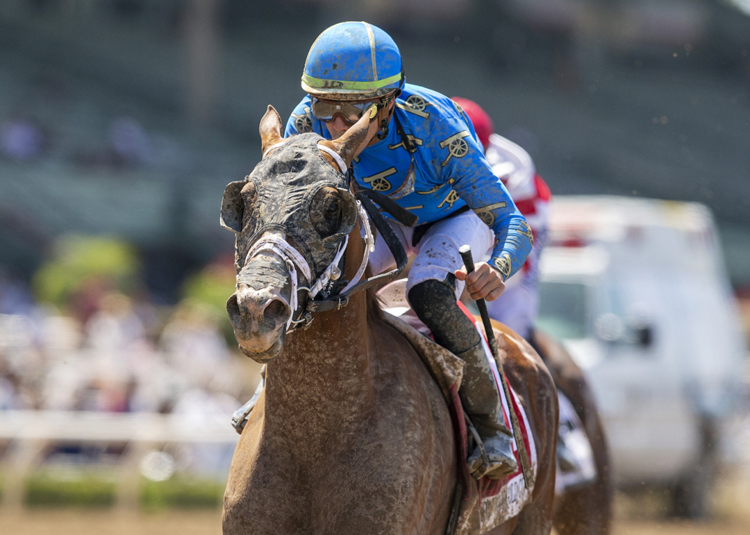 Breeders' Cup Turf There Goes Harvard expected to draw into field